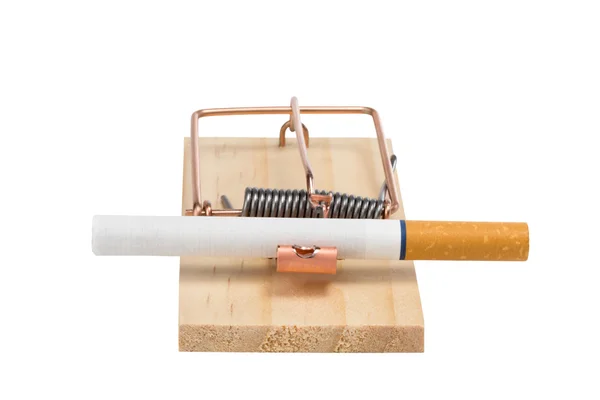 쥐 덫-절연에 담배 — 스톡 사진