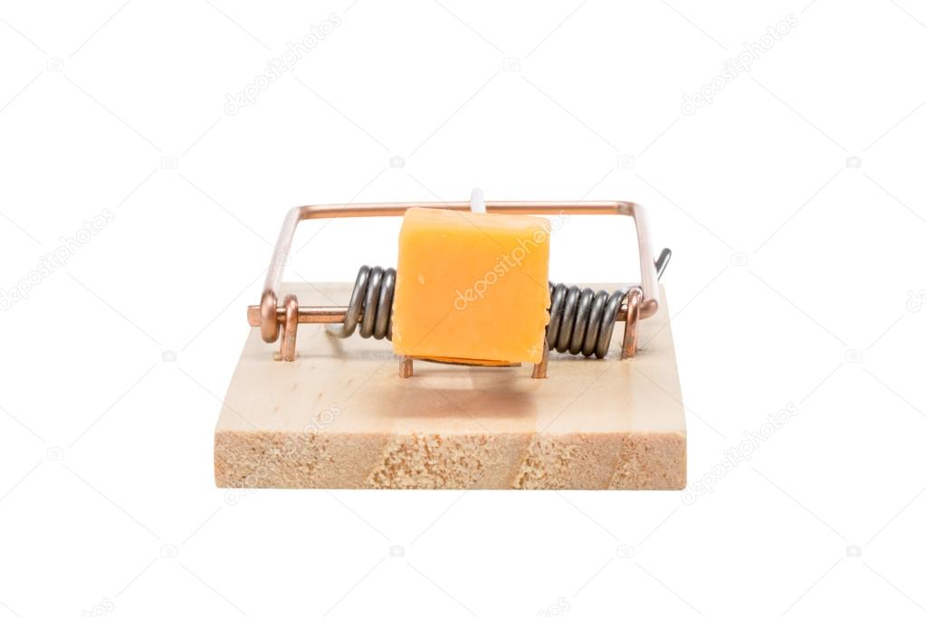 Mousetrap with Cheddar Cheese - Isolated