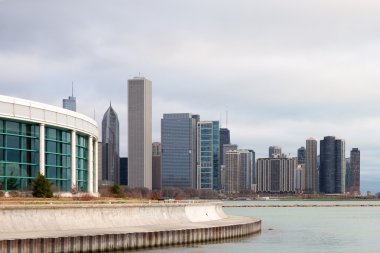 Chicago manzarası ve Shedd Aquarium
