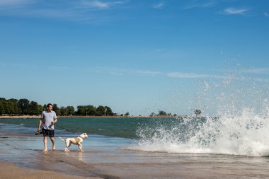 9-6-2014 Chicago - adam göl kıyısındaki yürüyen köpeğe