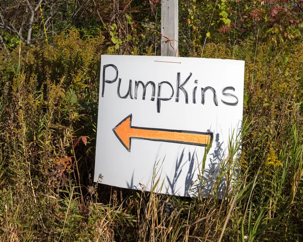 Pumpkin Patch znamení s oranžová šipka — Stock fotografie