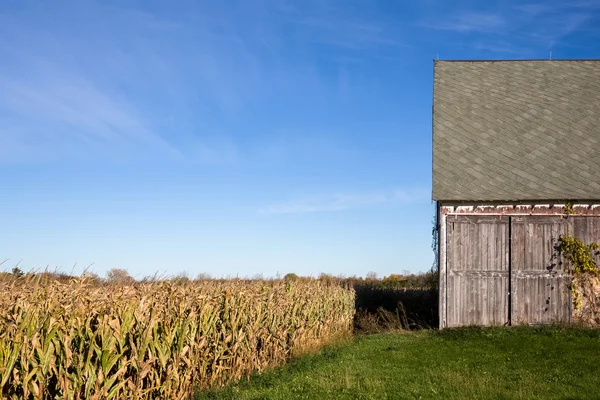 Old Barn, Corn Field and Blue Sky — Stock Photo, Image