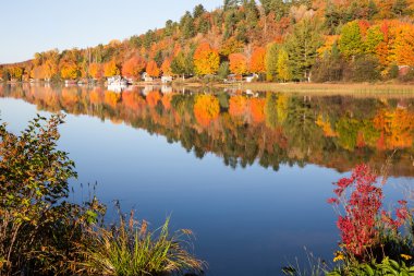 Fall Colors Reflected in Calm Lake with Foreground Bushes clipart
