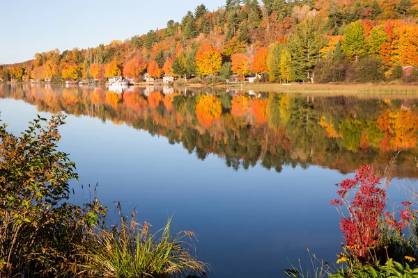 秋の色は前景の茂みと穏やかな湖に反映 — ストック写真