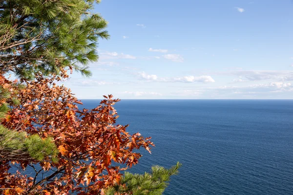 Cielo sobre el horizonte del agua enmarcado por árboles —  Fotos de Stock