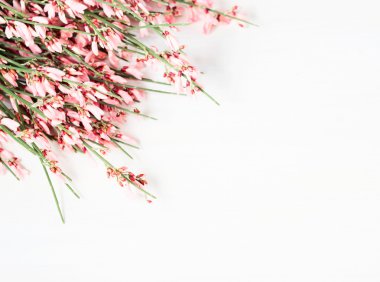 ahşap bir masaya çiçek