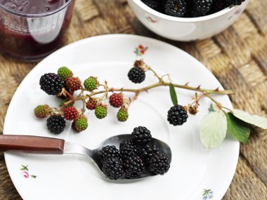 Beyaz plaka üzerinde organik böğürtlen