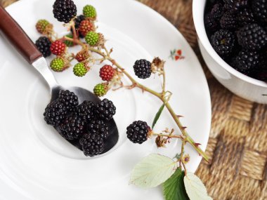 Beyaz plaka üzerinde organik böğürtlen