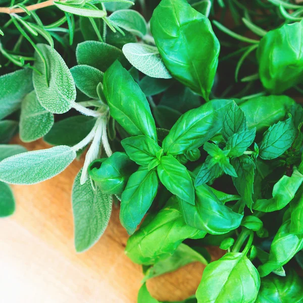 Herbs assortment on wooden board — Stock Photo, Image