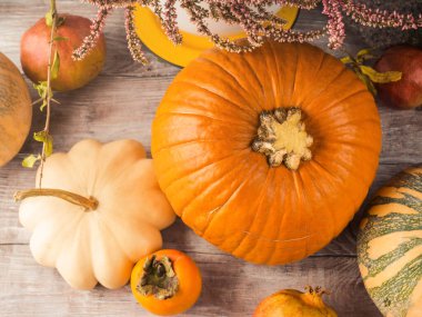 Sonbahar Şükran Günü hala balkabaklarıyla dolu.