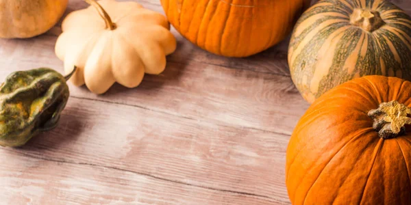 Fondo de Halloween de acción de gracias de otoño — Foto de Stock