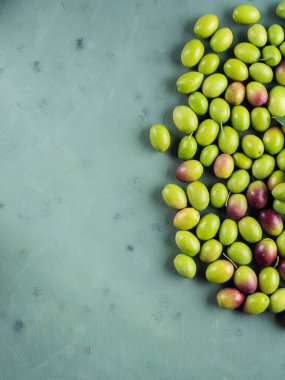 Taze toplanmış çiğ yeşil zeytin. Gıda arkaplanı