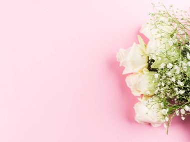 Pastel pembe arka planda beyaz güller.