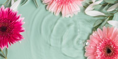 Suyun içinde pembe Gerbera papatyaları olan güzel yeşil yaz güzelliği.