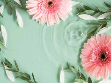 Suyun içinde pembe Gerbera papatyaları olan güzel yeşil yaz güzelliği.