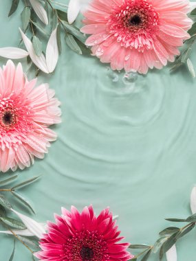 Suyun içinde pembe Gerbera papatyaları olan güzel yeşil yaz güzelliği.