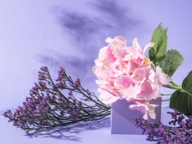 Mor arka planda pembe burunlu bahar çiçek podyumu sahnesi