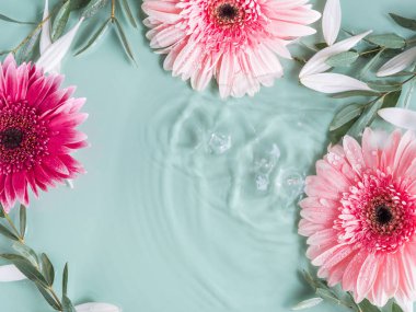 Suyun içinde pembe Gerbera papatyaları olan güzel yeşil yaz güzelliği.