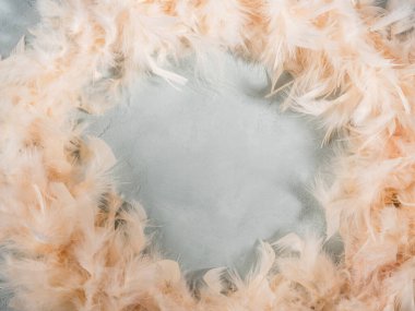 Turkuaz arka planda moda sarı tüy çerçeve