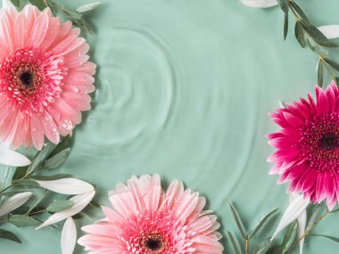 Suyun içinde pembe Gerbera papatyaları olan güzel yeşil yaz güzelliği.