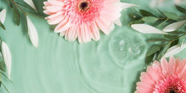 Suyun içinde pembe Gerbera papatyaları olan güzel yeşil yaz güzelliği.