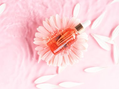 Kozmetik güzellik serumu yağ asidi ürünü pembe arkaplanda, pembe papatyalı suda.