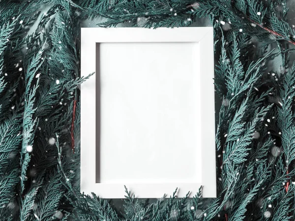 Hvid tom billedramme til hilsner på grøn nåletræ grene baggrund. Julekort Stock-foto