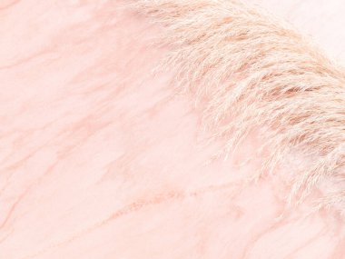 Pink pastel marble table background with trendy pampas grass