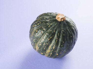 Green pumpkin on purple background. Autumn vegetable