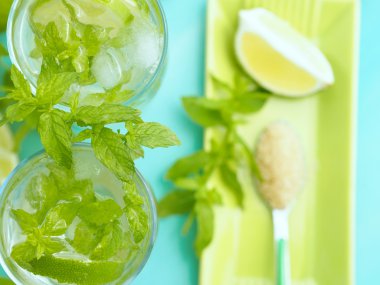 Mojito kokteyl ve malzemeler