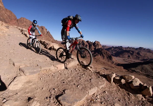 Rus Mtb bisikletçileri mt. Sina çölde yokuş.