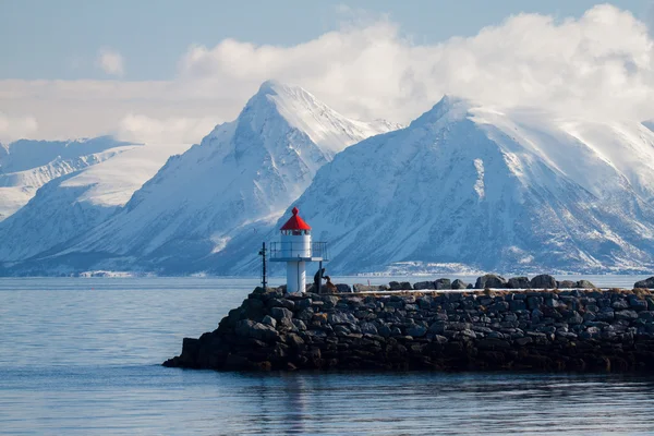 Deniz feneri ile karlı dağların arkasında.