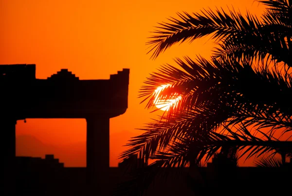 Tropikal bir günbatımı, palmiye ağaçları ve bina ile gündoğumu