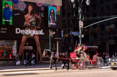 New York Nov 2 2014 : Fifth Ave Nyc üzerinde at arabası çizilmiş 2 Kasım 2014 Desigual Store önünde .