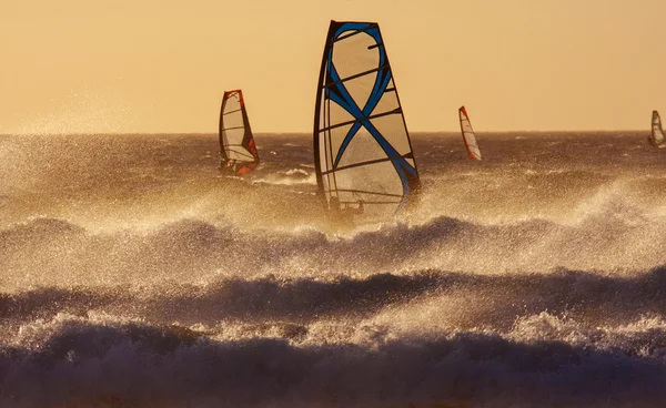 Windsurf al atardecer . — Foto de Stock