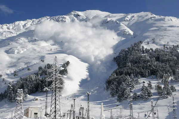 乾燥した粉の雲で雪崩。コーカサス ロイヤリティフリーのストック写真