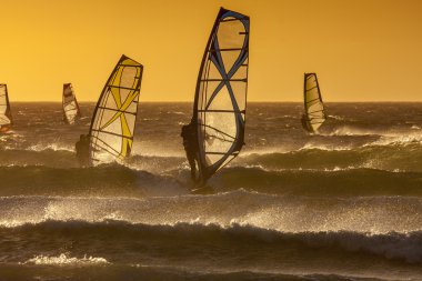 Windsurfing in sunset time. clipart