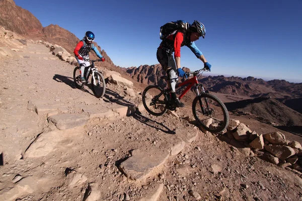 MTB bikers going downhill in the desert from mt. Sinai. — Stock Photo, Image