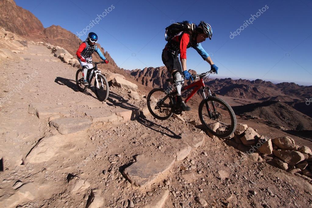 mtb bikers