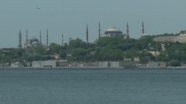 Sokağa çıkma yasağı nedeniyle deniz sessizleştiğinde ortaya çıkan yunuslar..
