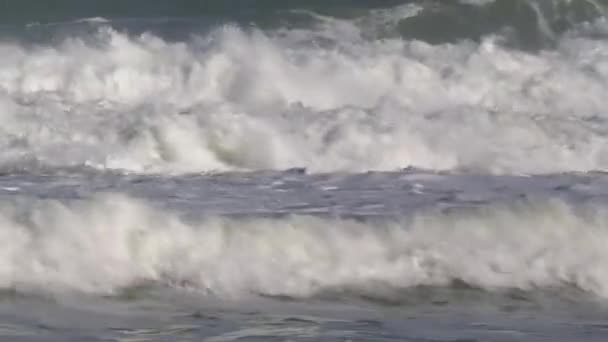 Каміння Під Хвилями Йдуть Пляжу — стокове відео