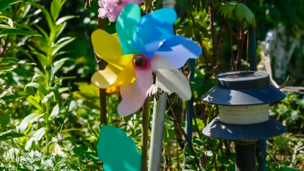 Objet tournant venteux dans un jardin — Video