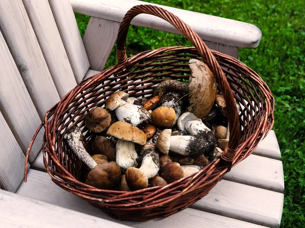 Cesta com os cogumelos — Fotografia de Stock