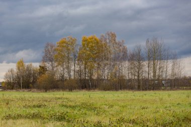 Sonbaharın kasvetli gününde sonbahar manzarası