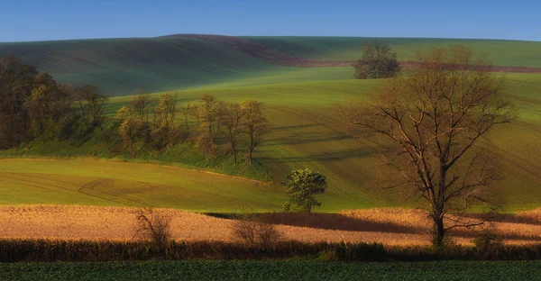 Moravyalı hills alanların — Stok fotoğraf