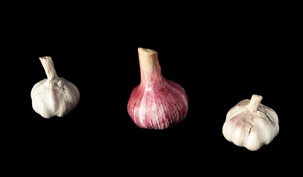 Tres cabezas de ajo — Foto de Stock