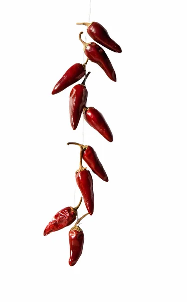 Bouquet de piment — Photo