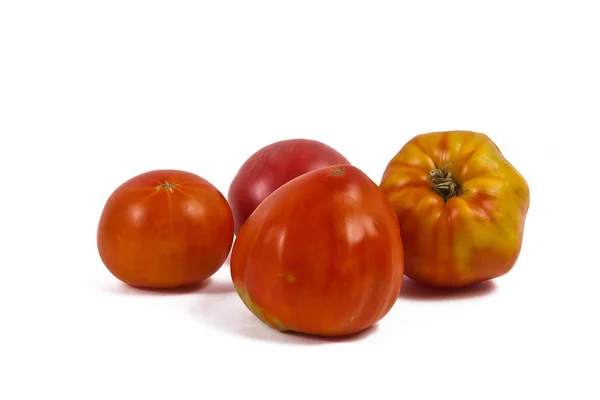 Pomodori maturi — Foto Stock