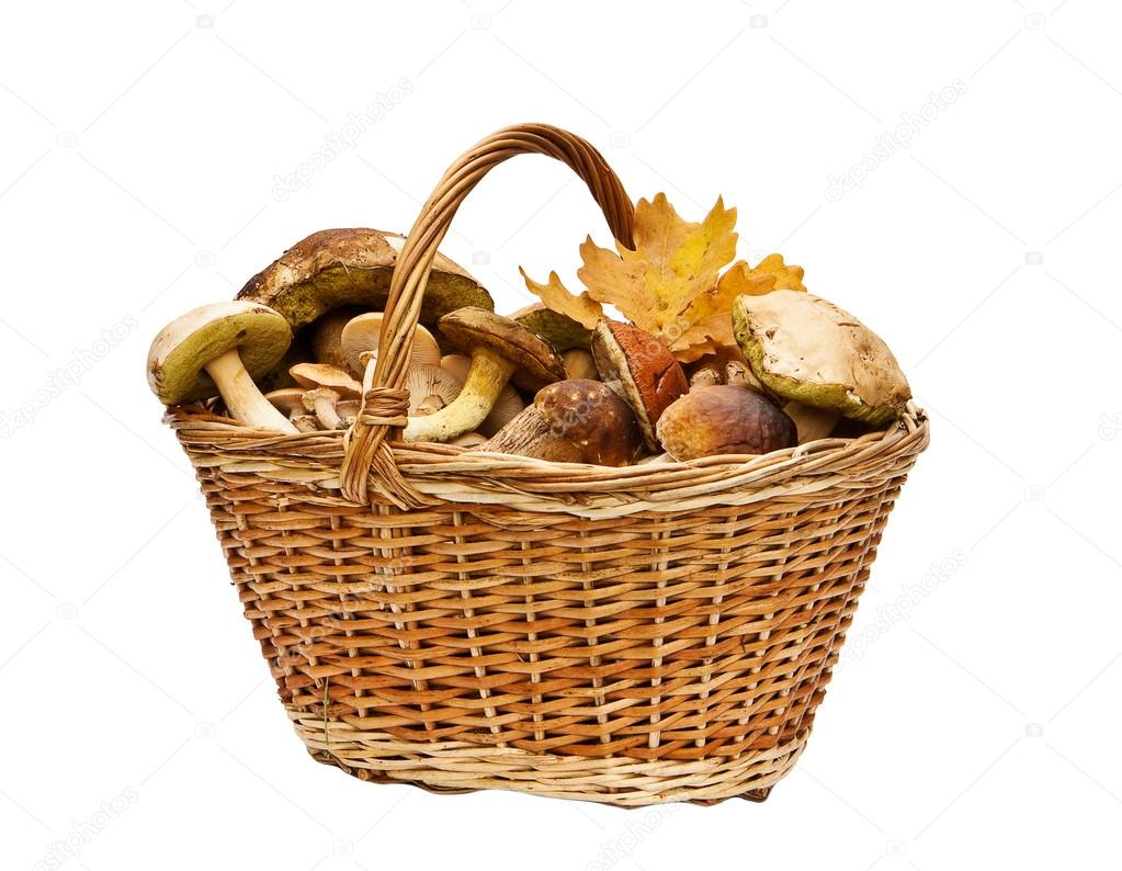 Basket with mushrooms