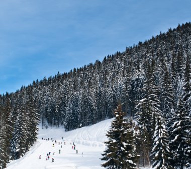 Kitle yokuş aşağı Kayak